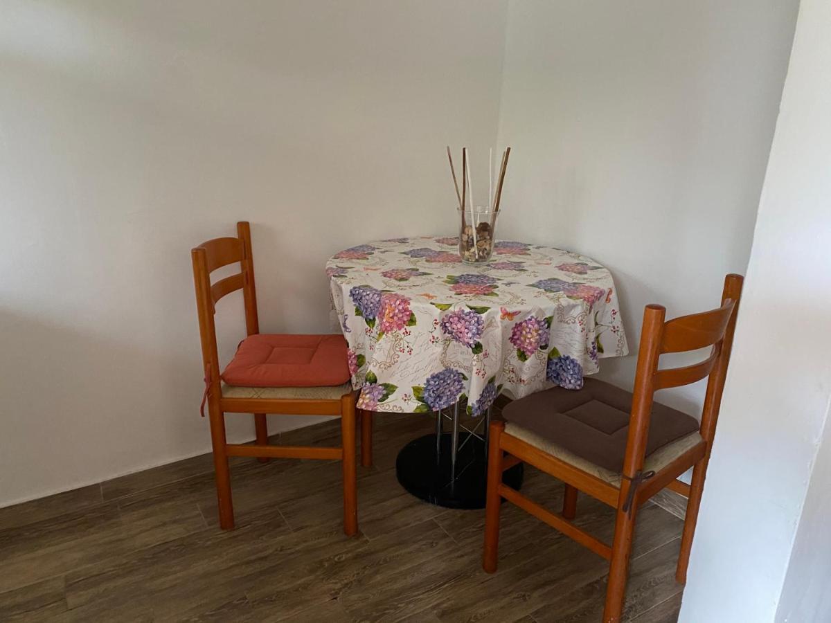 Tajana Novigrad Istria