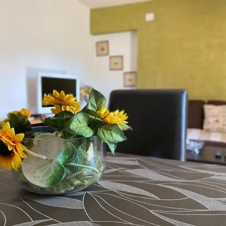 Apartments Tajana Novigrad Istria Extérieur photo