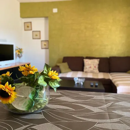 Apartments Tajana Novigrad Istria Extérieur photo