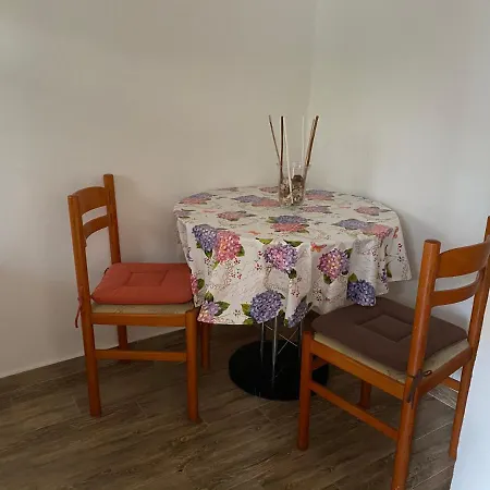 Apartments Tajana Novigrad Istria Extérieur photo