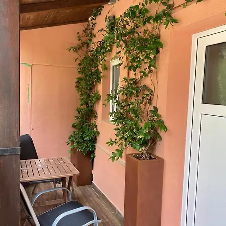 Apartments Tajana Novigrad Istria Extérieur photo