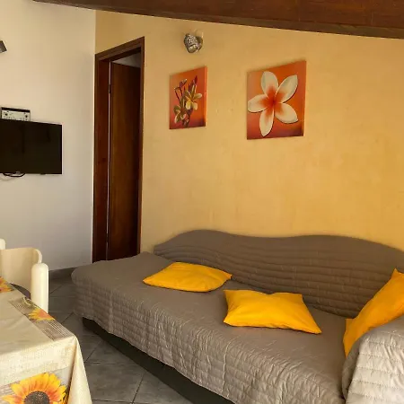 Apartments Tajana Novigrad Istria Extérieur photo