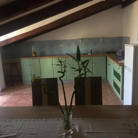Apartments Tajana Novigrad Istria Extérieur photo