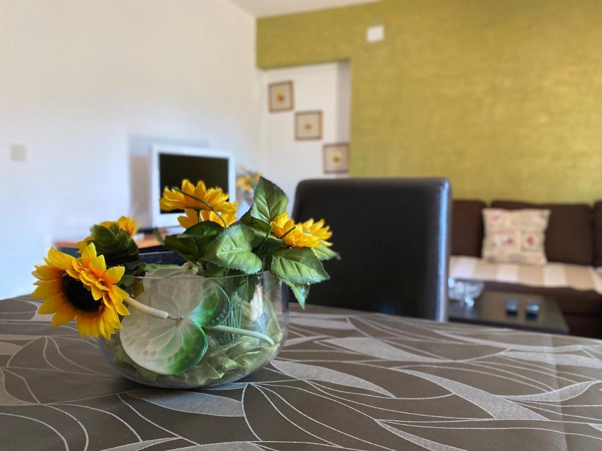 Apartment Tajana Novigrad (Istria)