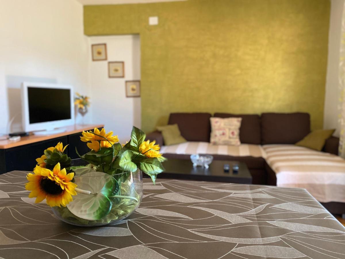 Apartment Tajana *