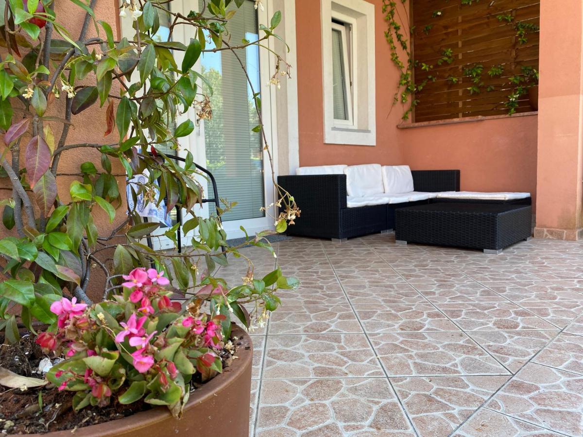 Apartment Tajana