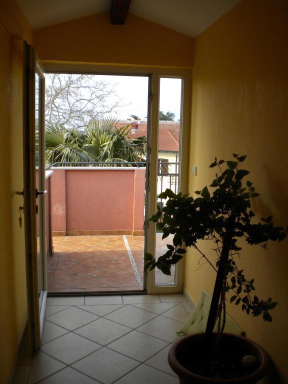 Tajana Apartment