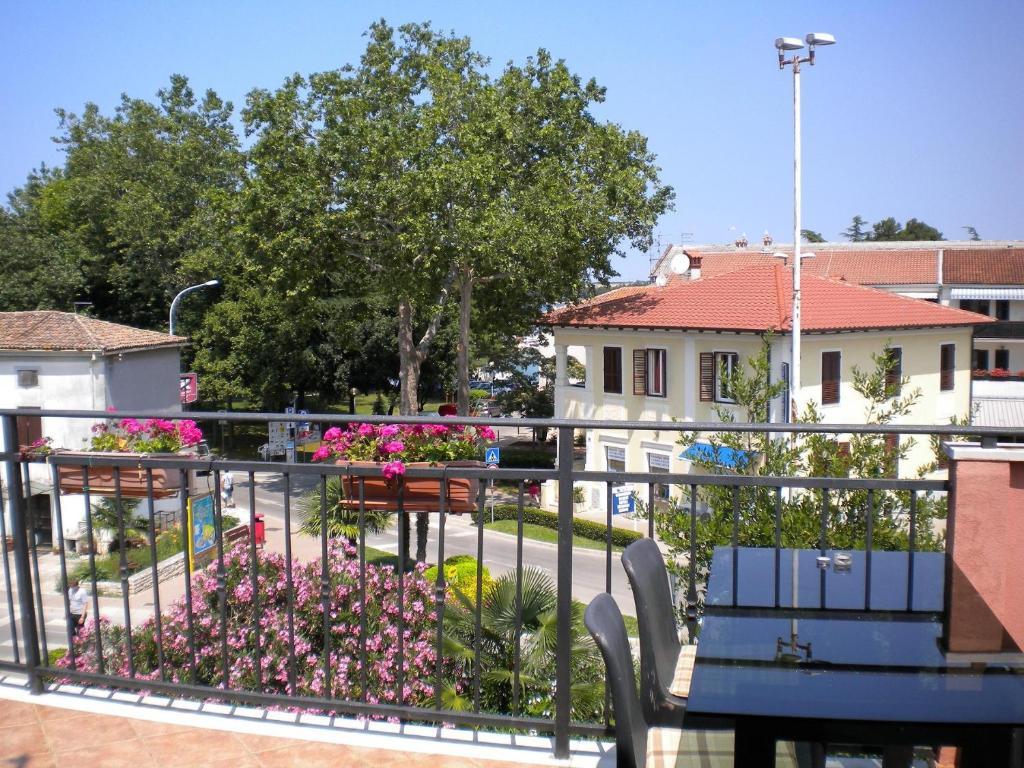 Tajana * Novigrad (Istria)