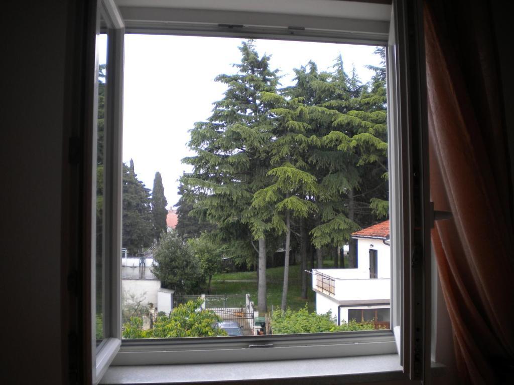 Apartment Tajana *