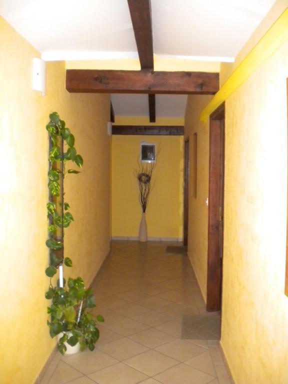 Apartment Tajana Novigrad (Istria)