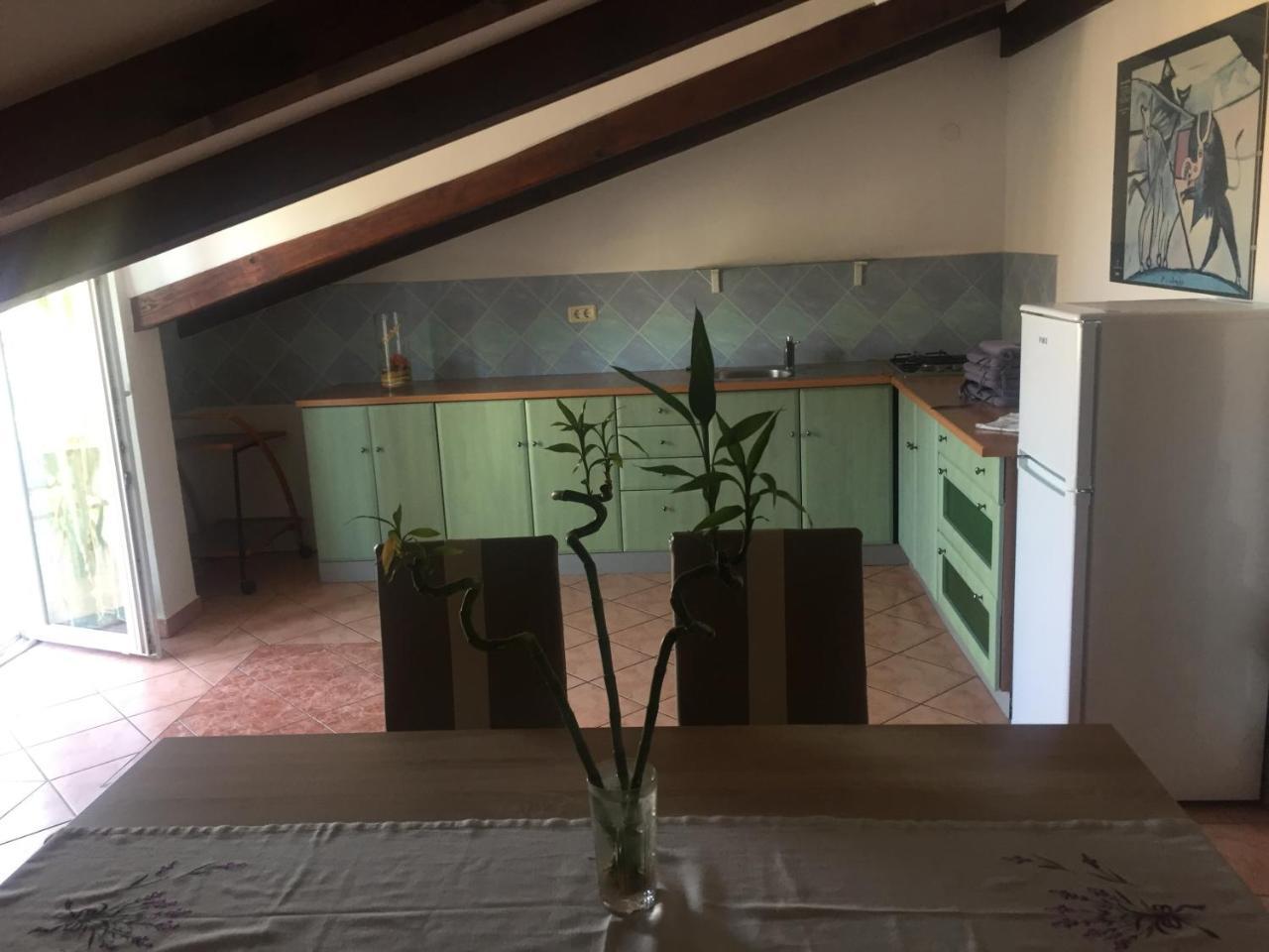 Tajana * Novigrad (Istria)
