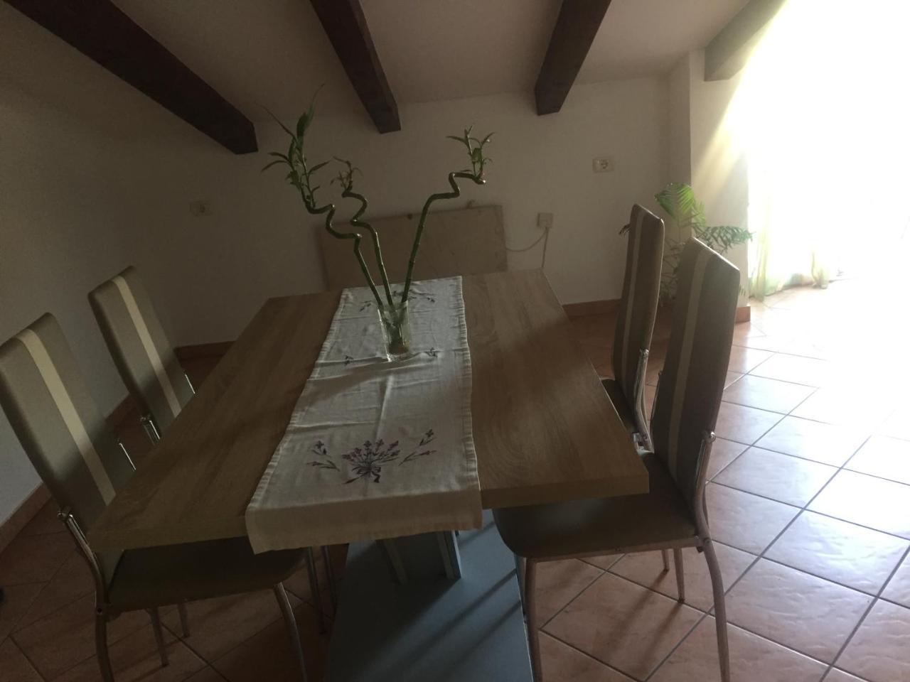 Tajana Novigrad Istria